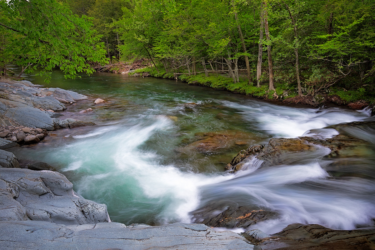 Stream in Great Smoky Mountains National Park, TN.