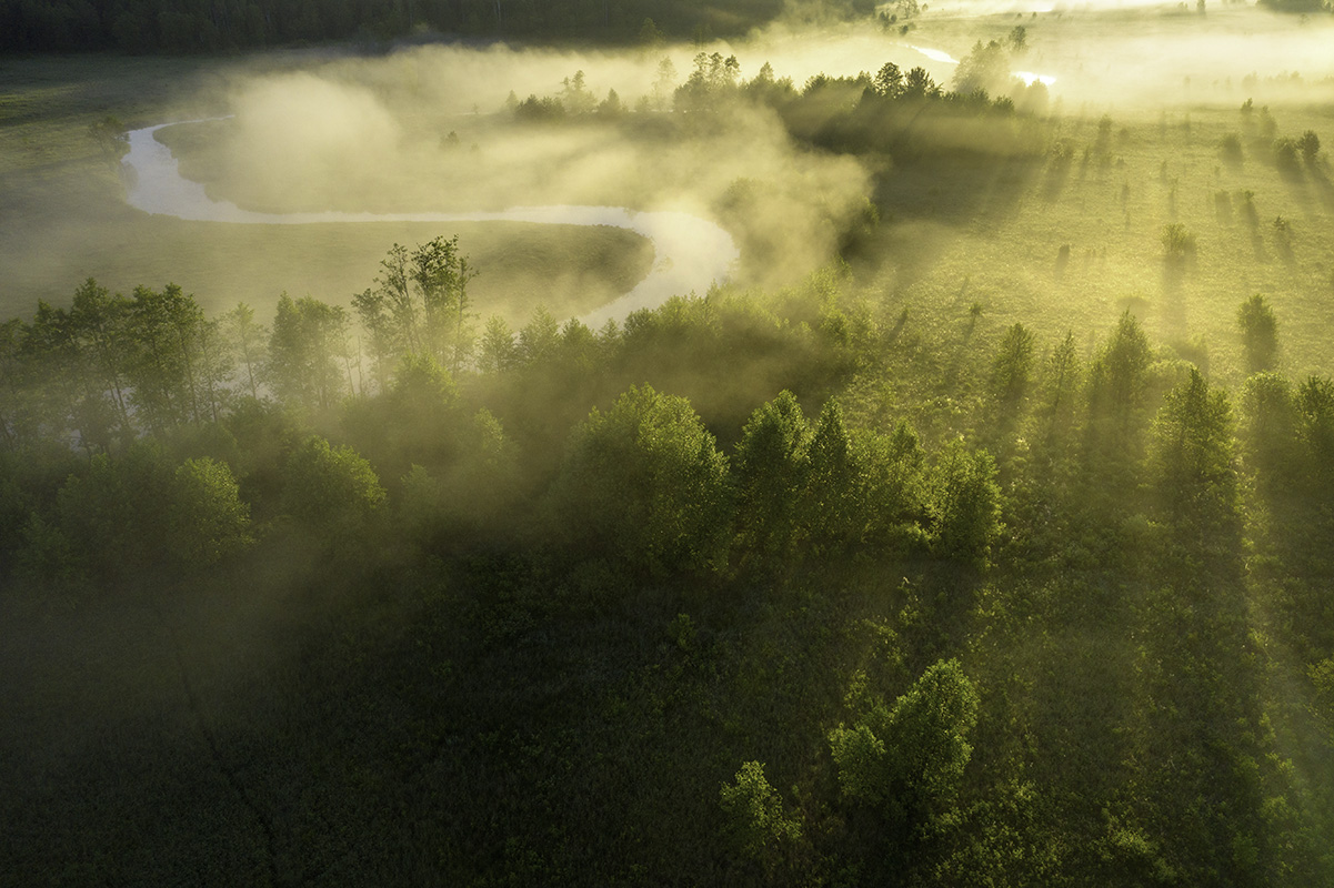 Sunny summer river nature in misty morning at sunrise. Aerial view of bright sun rays through fog and trees on meadow with river. Spring river from above in sunlight